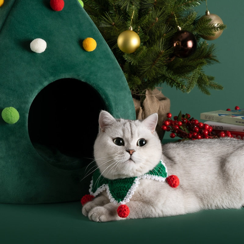 Christmas for Cat