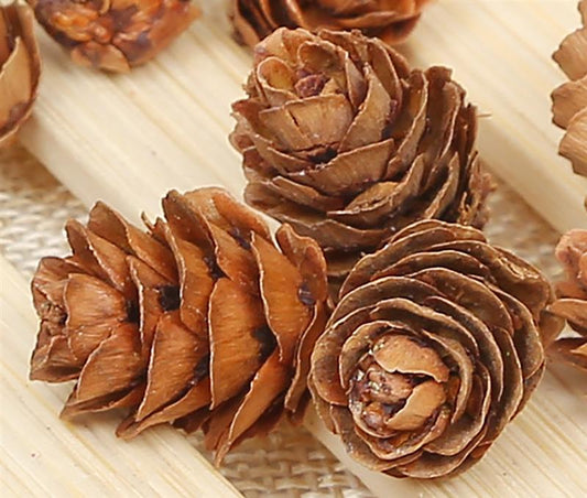 Natural Pinecone Tree Ornaments