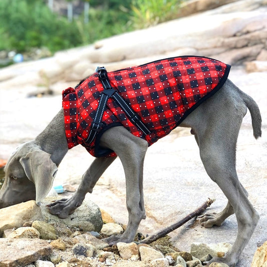 Cozy Christmas Dog Sweater