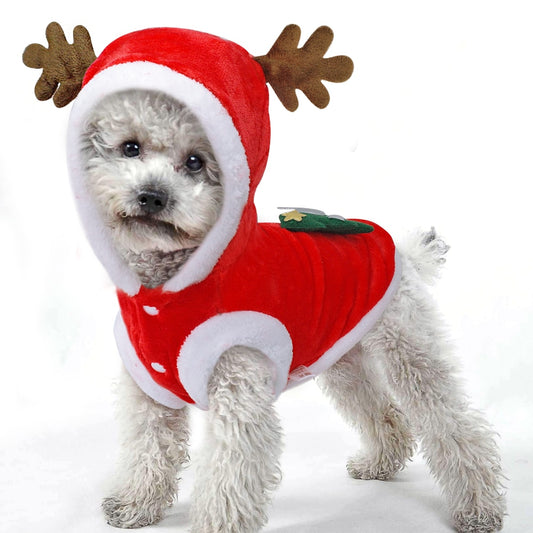 Santa Costume for Dog