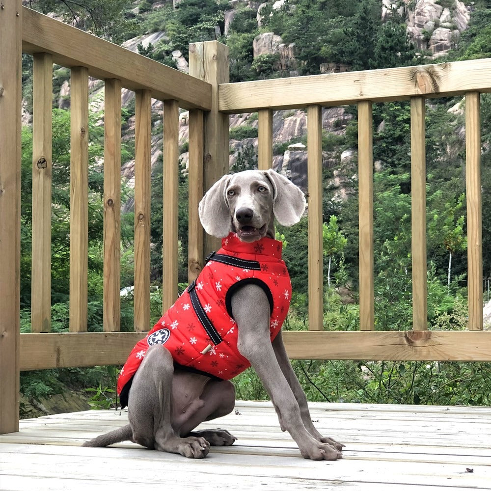 Cozy Christmas Dog Sweater